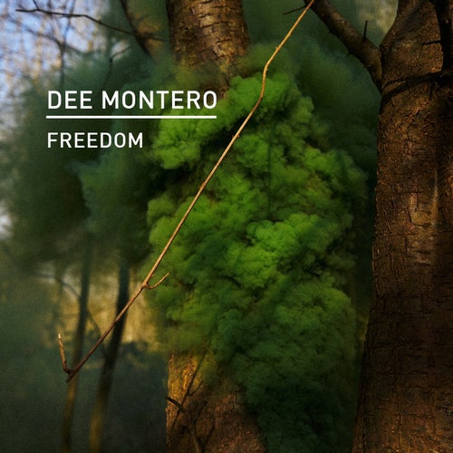 Dee Montero - Freedom [KD164]